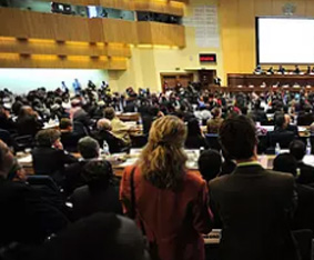 塞尔维亚客户代表莅临澎龙电池考察交流 共探新能源合作新机遇