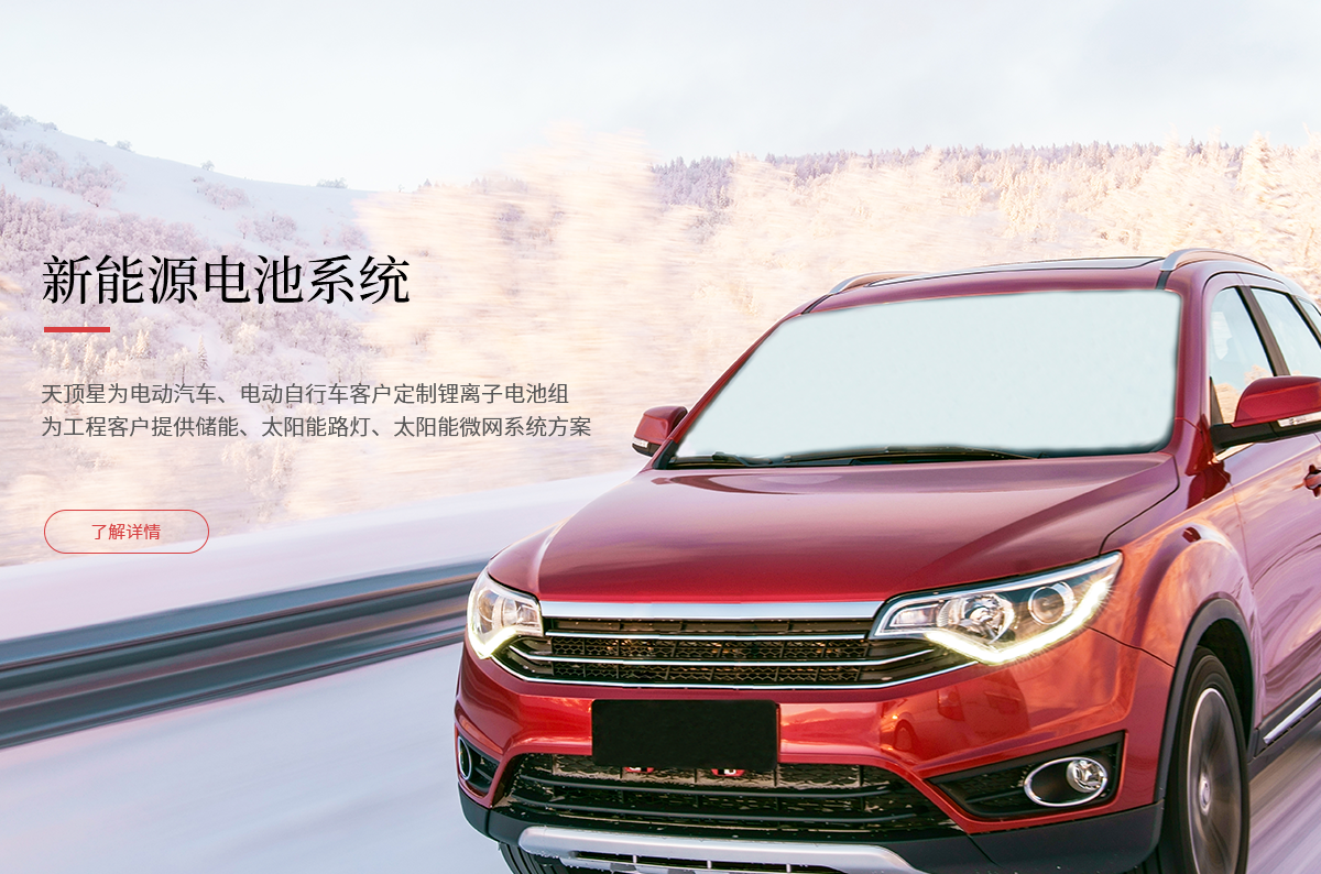 塞尔维亚客户代表莅临澎龙电池考察交流 共探新能源合作新机遇