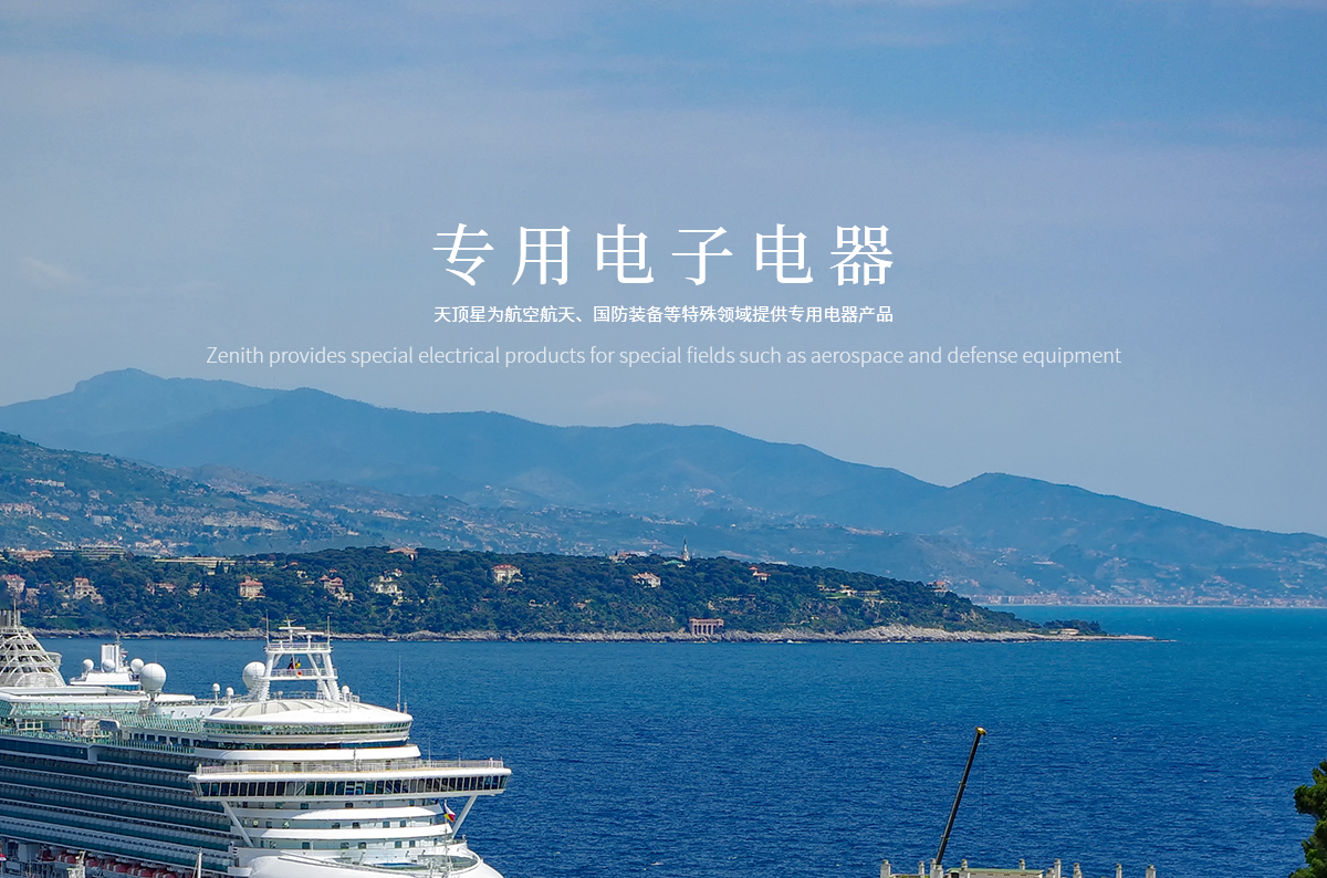 塞尔维亚客户代表莅临澎龙电池考察交流 共探新能源合作新机遇