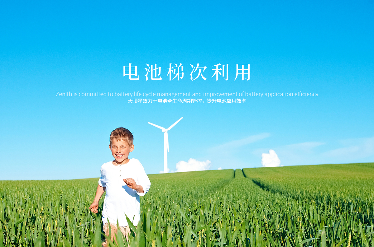 塞尔维亚客户代表莅临澎龙电池考察交流 共探新能源合作新机遇